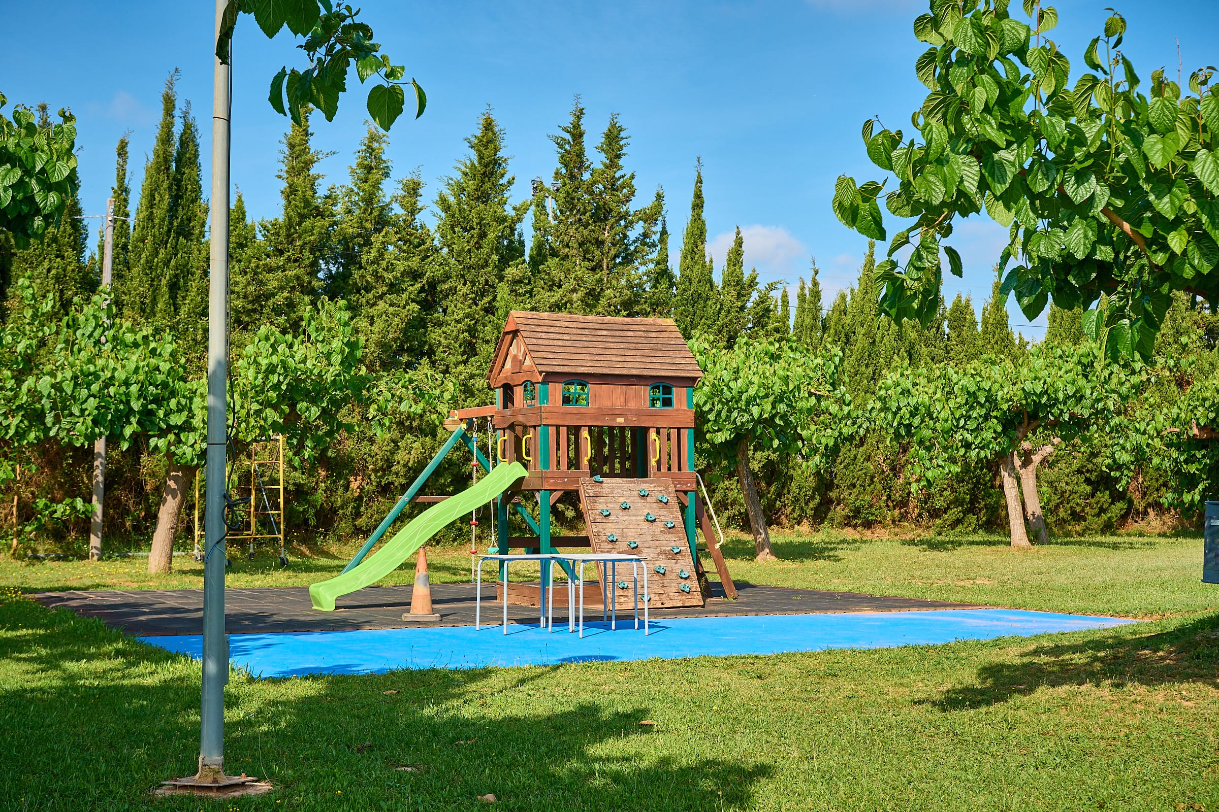 Club children's playground among the trees